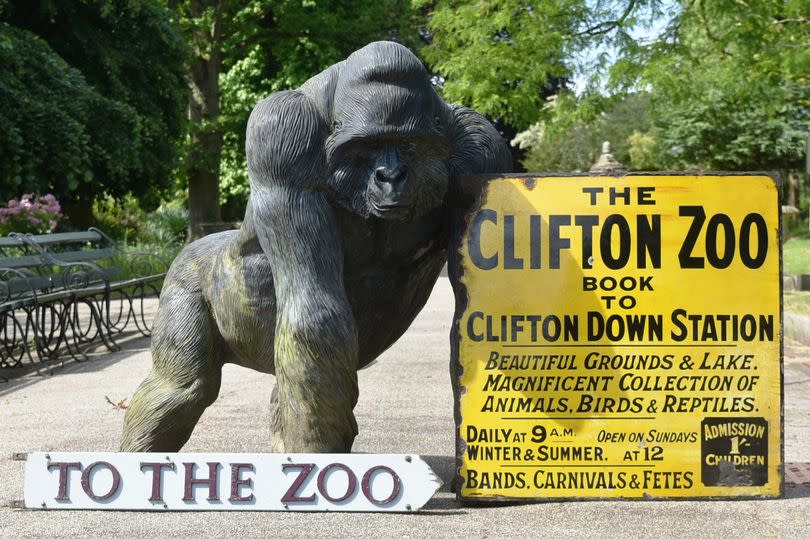 image of bristol zoo